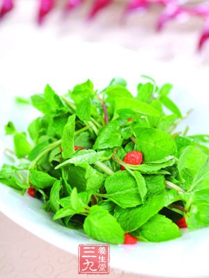 薄荷快速减肥食谱 10天减7斤