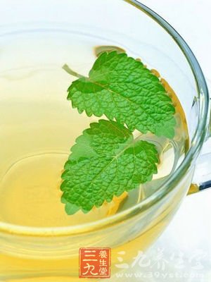 菊花薄荷茶