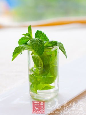 瘦身薄荷优点全揭发