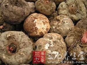 饮食秘诀 轻松排毒痛快瘦身