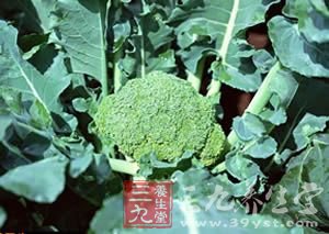 饮食养生 无龄女人&ldquo;吃&rdquo;出来