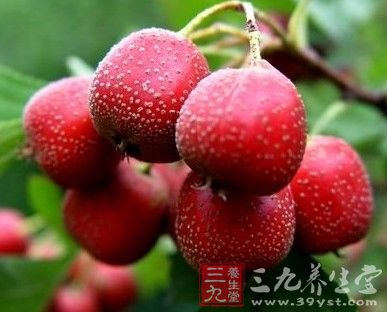 夏季女性千万少吃六种水果