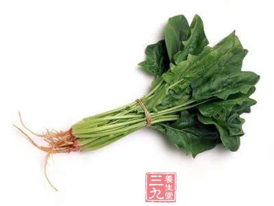 绿色蔬菜的营养价值排行榜