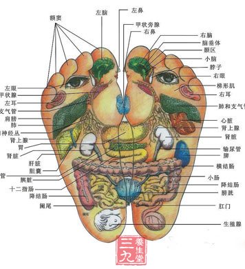 中医教你“返老还童”三秘方