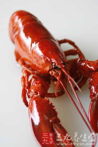 盘点龙虾的营养价值