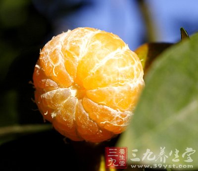 橘子皮药理作用多