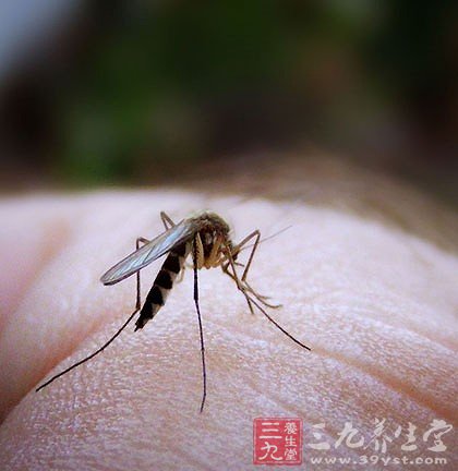 夏季蚊虫叮咬紧急处理方法