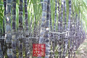 12瓜果助夏日消暑祛湿防治夏季疾病