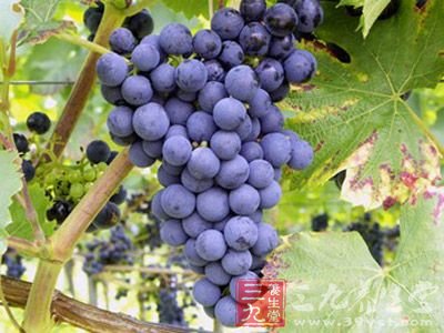 女人好不要吃四大水果