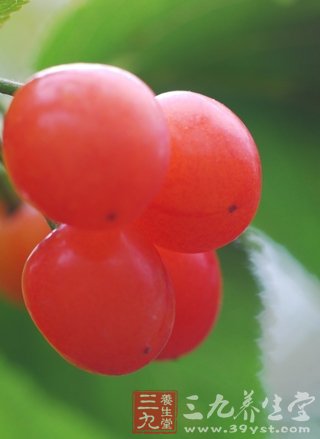 樱桃营养高 每天吃10颗可助养生