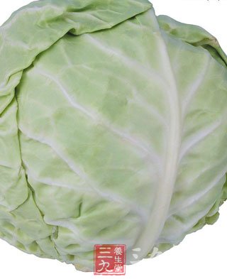 盘点卷心菜的三个妙用