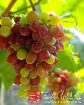 水果抗氧化 帮你消退颈部皱纹