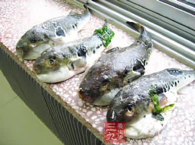 全球健康10大长寿食物排行榜