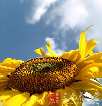 7种日常食物 容易成不孕元凶