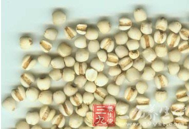 哪些食物有助于身体排毒