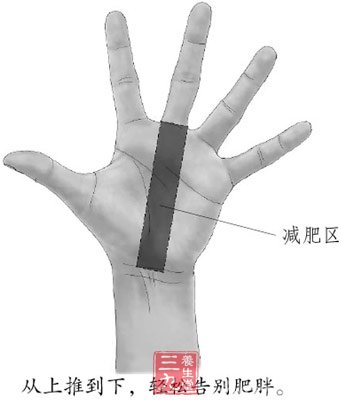 手上的减肥特区