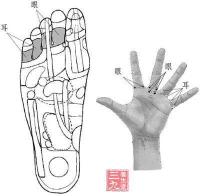 大拇指第二节如果变细,一般意味着颈椎供血不好.