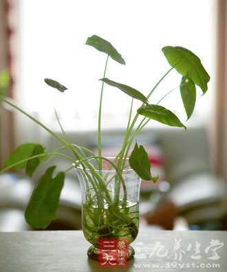 9个保健小妙计 有效预防偏头痛