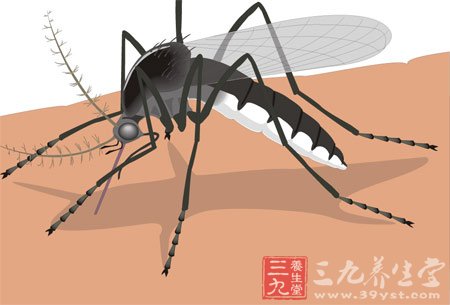 夏季八大方法谨防蚊虫盯上你
