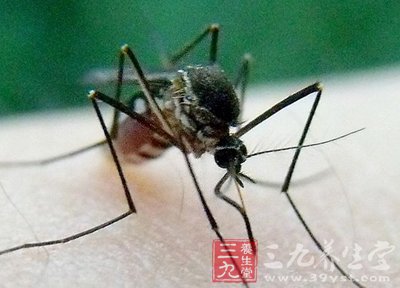 灭蚊的方法 你的夏季保健必修课