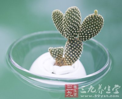 4大夏季养生对策 清凉消暑不生病
