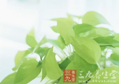 夏季养生
