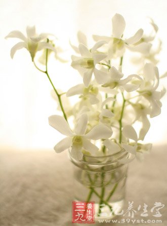 巧吃10种花 让你拥有自然的体香