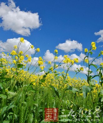小暑奔大暑 情绪勿中暑