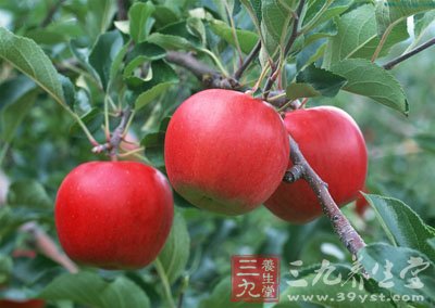 天然美白嫩肤水果