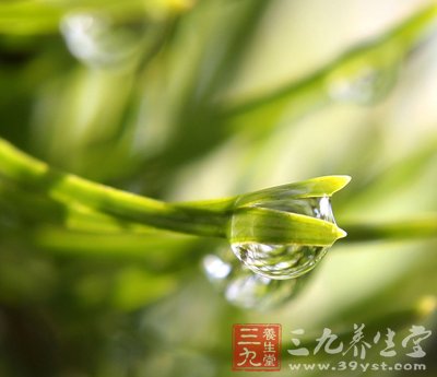 9个保健小妙计 有效预防偏头痛