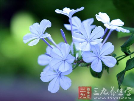 中伏天4宜7忌 防暑降温不中暑