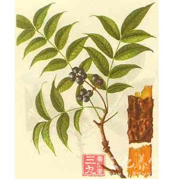 中药祛斑的有效方法