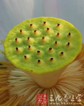 夏季吃莲子养心安眠 5款食谱推荐给你