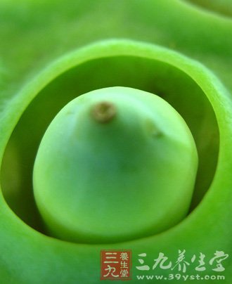 夏季吃莲子养心安眠 5款食谱推荐给你