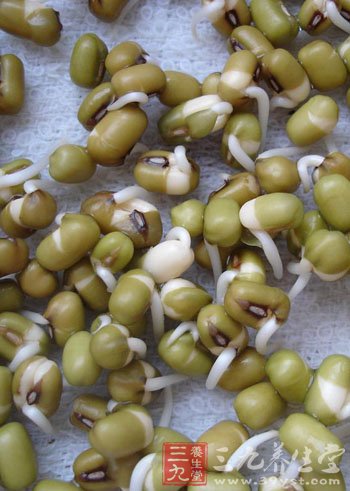 绿豆芽发芽太长好吗