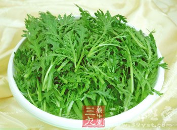 盘点营养全能冠军绿叶蔬菜