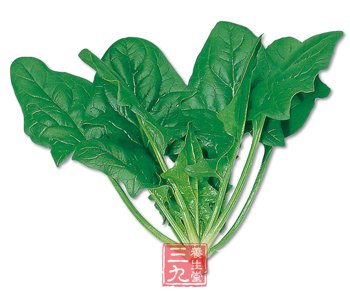 盘点营养全能冠军绿叶蔬菜