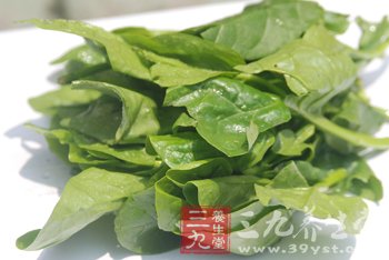 盘点营养全能冠军绿叶蔬菜