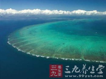 冲浪:保健与瘦身一体的锻炼