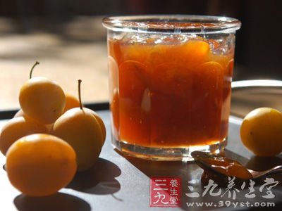 李子豆浆汁