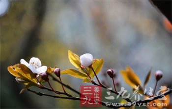 科学养生 按摩穴位