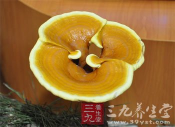 经典抗衰老中药大公开