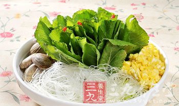 大白菜营养可入药古今有名