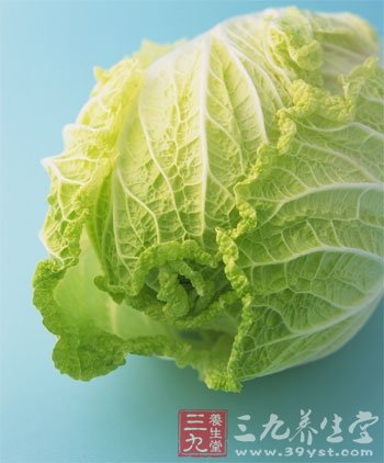 大白菜营养可入药古今有名
