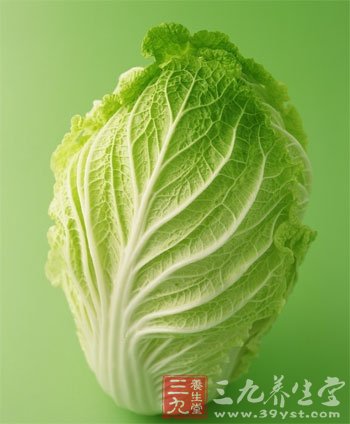 大白菜营养可入药古今有名