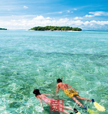 夏季游泳需注意 专家提示经常游泳需预防游泳肩