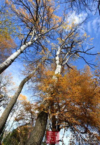 立秋了 后面还会热吗