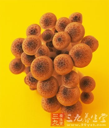 夏天中午最该吃什么