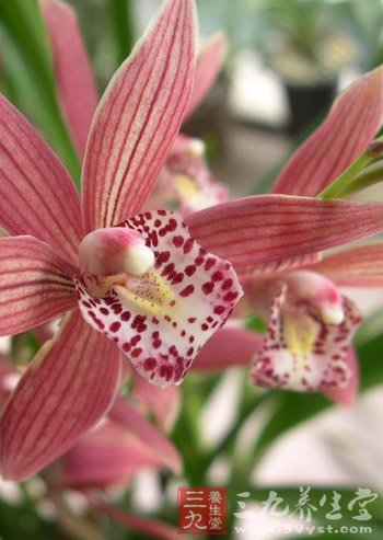 农业部检查植物生长剂