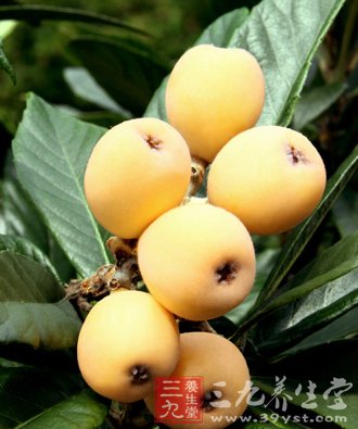 立秋吃枇杷给肺“补水”